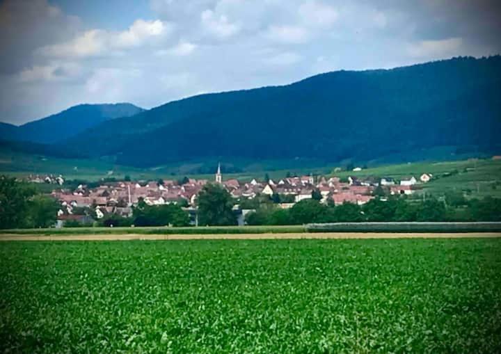 Le Clocher " Sous Les Combles" Parking Gratuit Beblenheim Kültér fotó